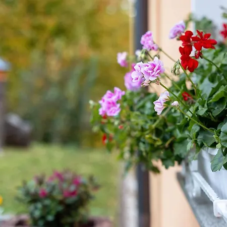 Teichmuehle - Vogtland Chalet