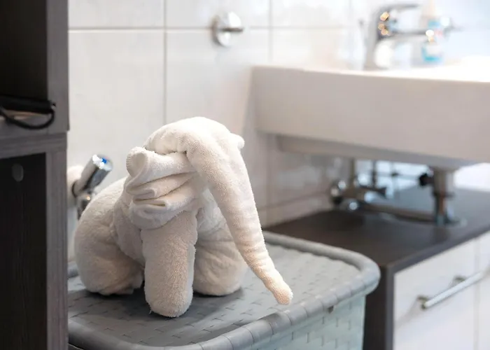 Schmidt * באד בראמבאך