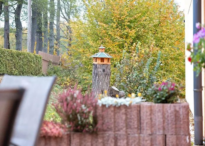 Schmidt * באד בראמבאך